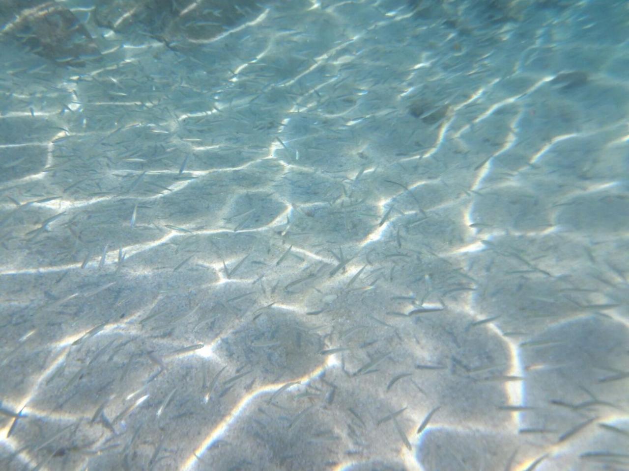 Hotel Valemare Tropea Kültér fotó